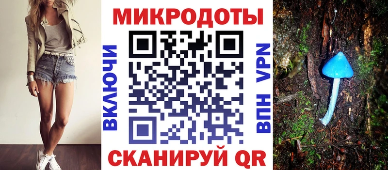 Купить закладки  Нерчинск  Галлюциногенные грибы Magic Shrooms 